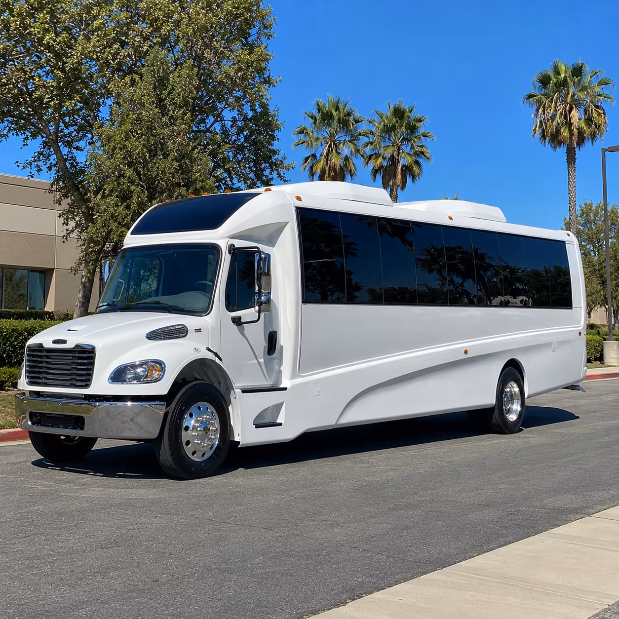 white plains 15 passenger minibus