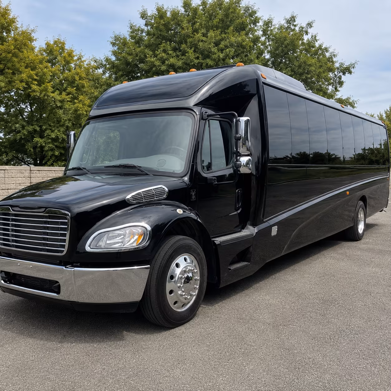 white plains 18 passenger minibus