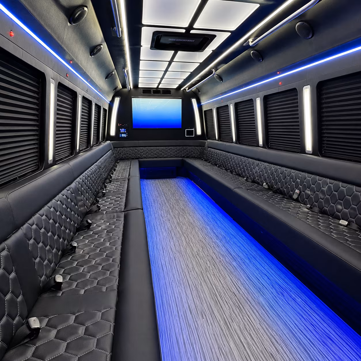 white plains 50 passenger party bus inside