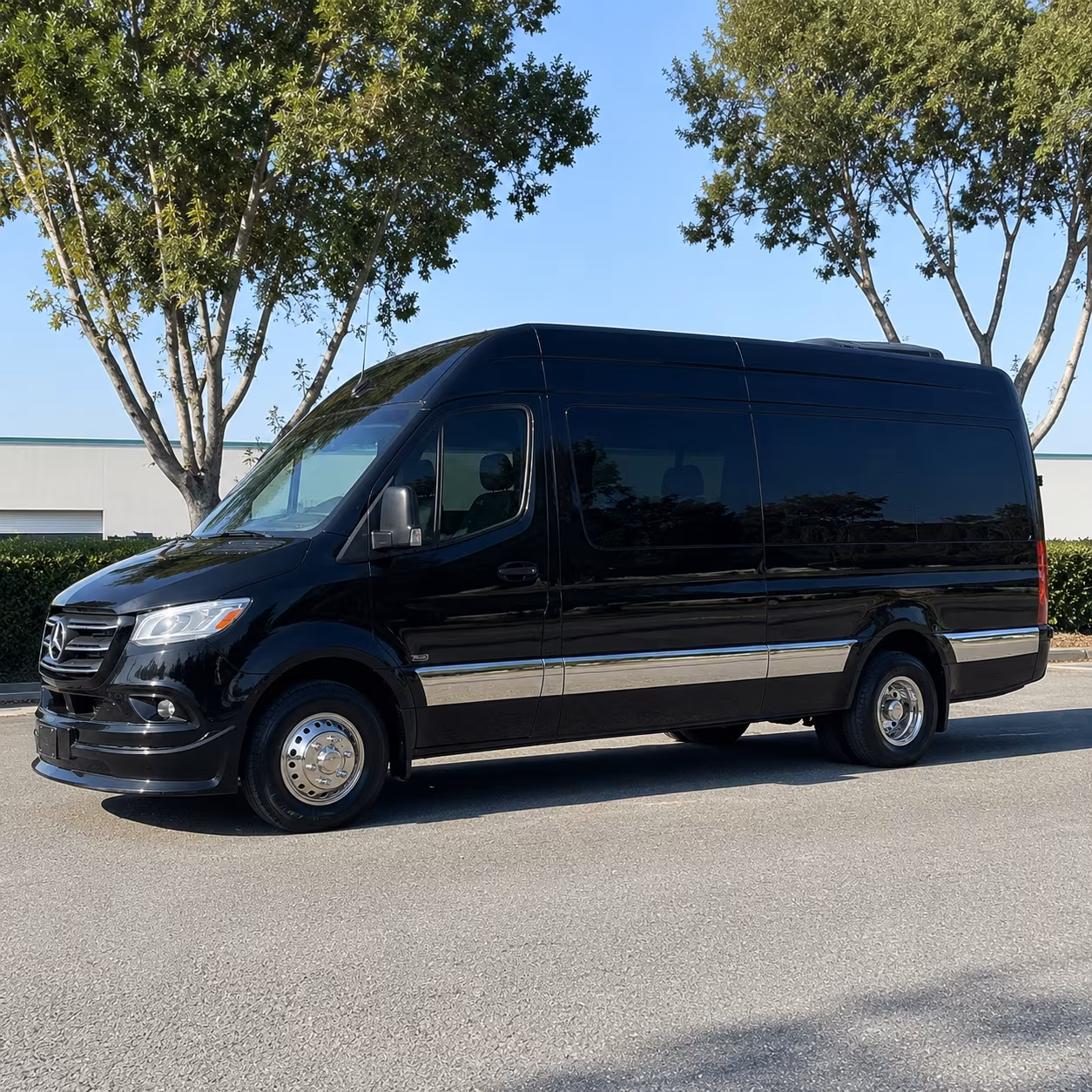 white plains sprinter limousine